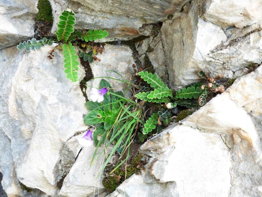 Nestos, Meer Und Berge - Griechenland Mal Anders Zarkadhia Bagian luar foto